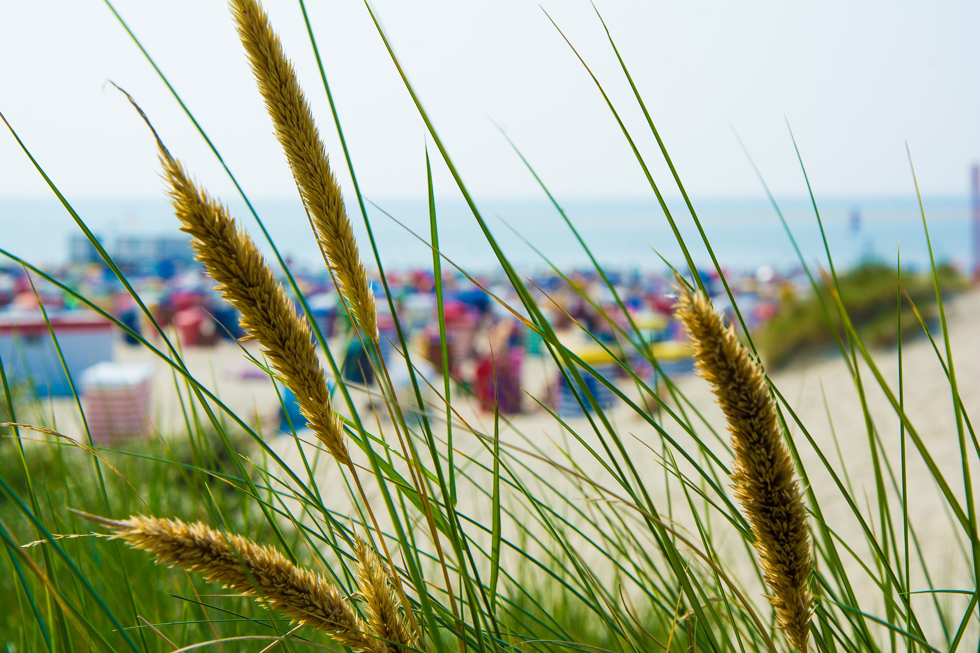 Borkum